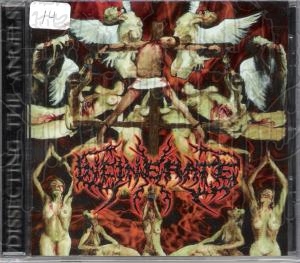 INCINERATE - Dissecting The Angels